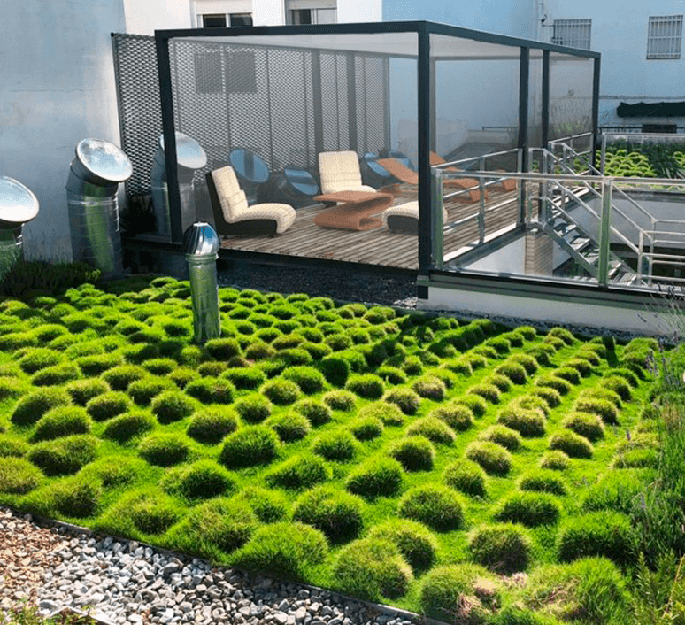 cubiertas-ajardinadas-inclinada-aimsur