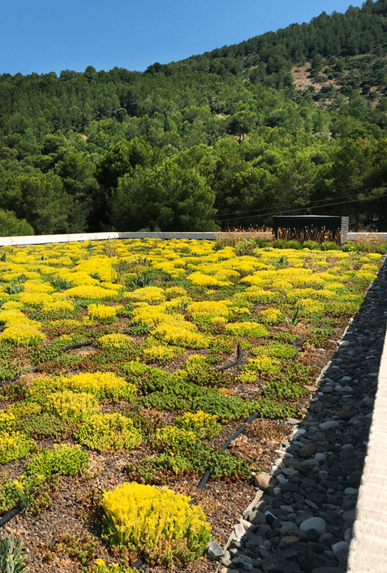 ventajas-cubiertas-ajardinadas-aimsur-