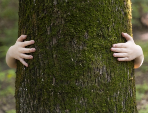 26 Septiembre: Día Mundial de la Salud Ambiental